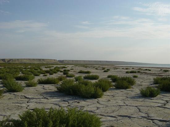 Научно- исследовательская работа по теме: «The Problems of Aral Sea»