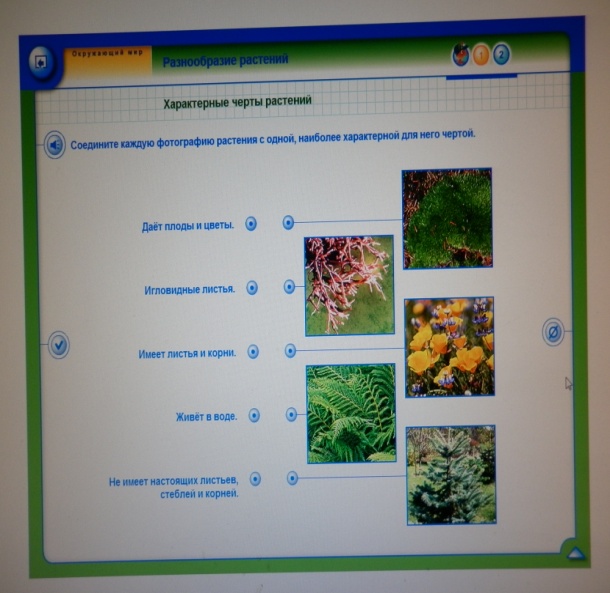 Занятие на тему: Разнообразие растений (3 класс)