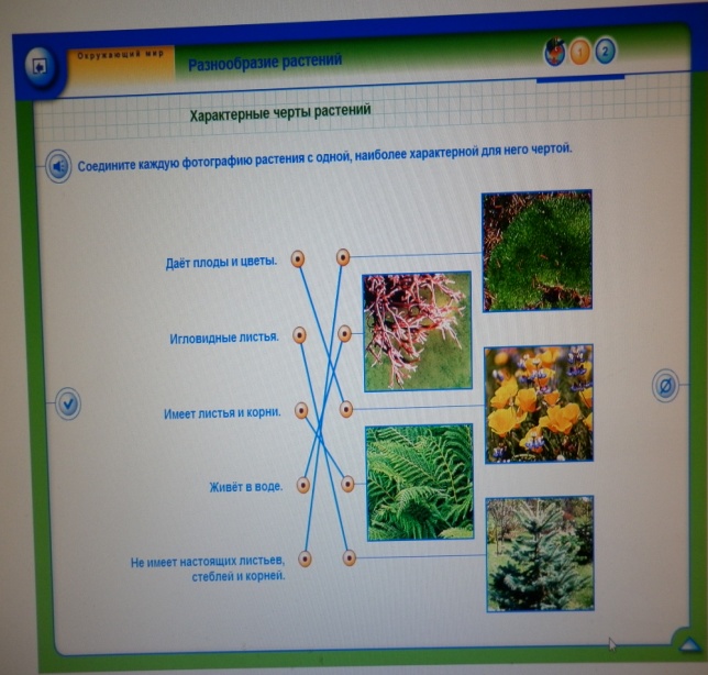 Тесты разнообразие растений 3 класс окружающий мир