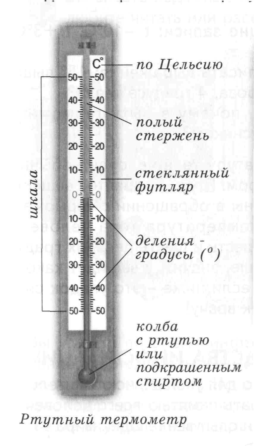 Термометр ртутный рисунок