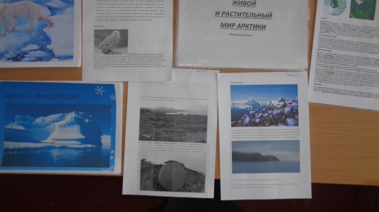 Всероссийский урок Арктика-фасад России