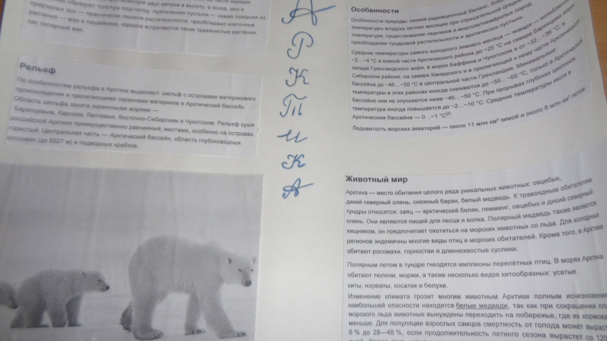 Всероссийский урок Арктика-фасад России