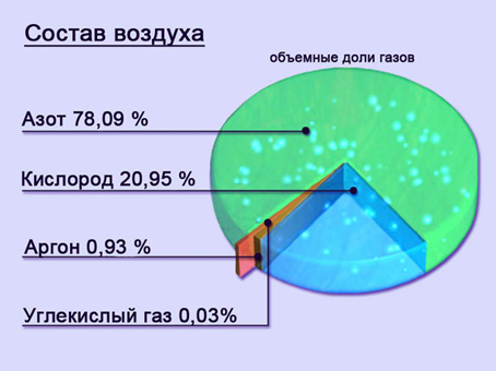 Исследовательская работа Изучение качества воздуха на территории МБОУ педагогический лицей города Димитровграда