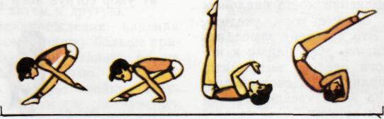 Урок Акробатические упражнения перекаты.