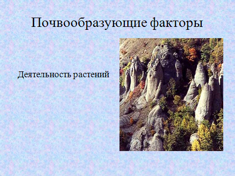 Урок по географии Почвы - наше достояние 8 класс