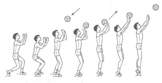 Рабочая программа по физической культуре на тему Внеурочная деятельность по волейболу.