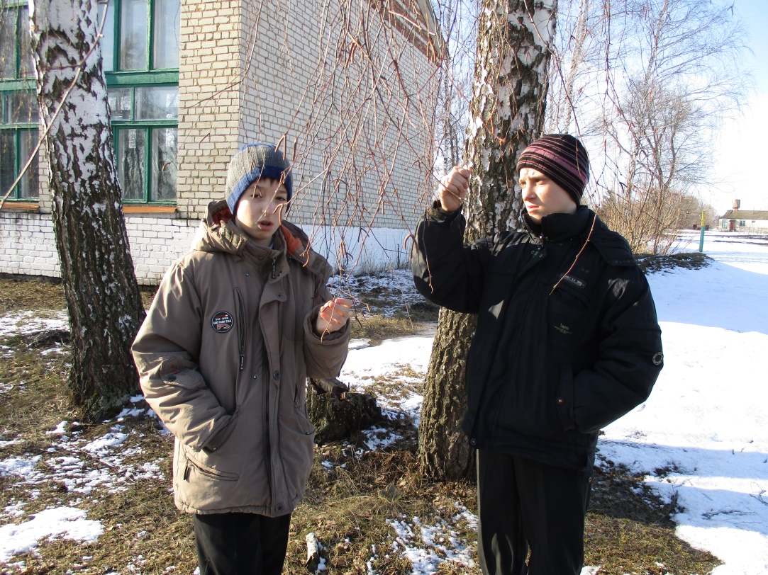 Урок «Зимние явления в жизни растений»