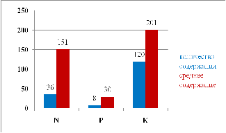 Реферат Почвы окрестностей села Бора-Тайга