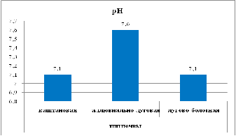 Реферат Почвы окрестностей села Бора-Тайга