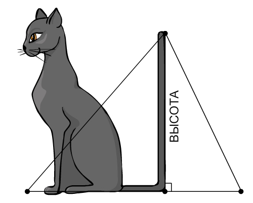 Высота рисунок геометрии. Высота кота. Высота похожа на кота. Высота это в геометрии. Высота рисунок.