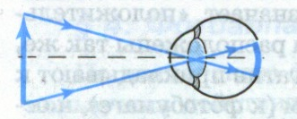 Исследовательская работа по физике Вклад Леонардо да - Винчи в развитие современной оптики