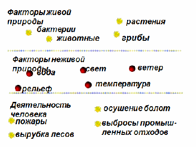 Урок пр природоведению Где живут организмы.