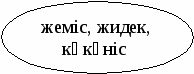 Поурочное планирование по новой технологии (Казахский язык в 6 классе)