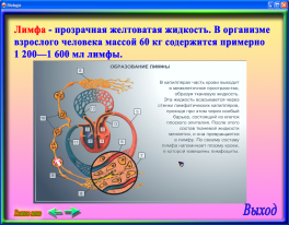 Кан топтары 8 класс