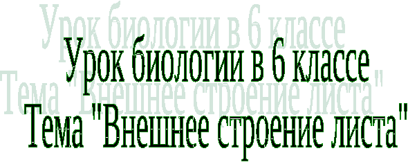 Конспект урока по биологии 6 класс по теме «Внешнее строение листа»