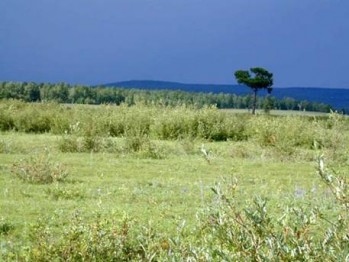 Заповедники Забайкалья методическое пособие