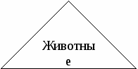 Открытый урок Экология на железнодорожном транспорте