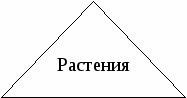 Открытый урок Экология на железнодорожном транспорте