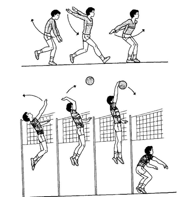 С какого места производится подача. Нападающий удар в волейболе схема. Выполнение нападающего удара в волейболе. Нападающий удар в волейболе. Волейбол нападающий удар разбег.