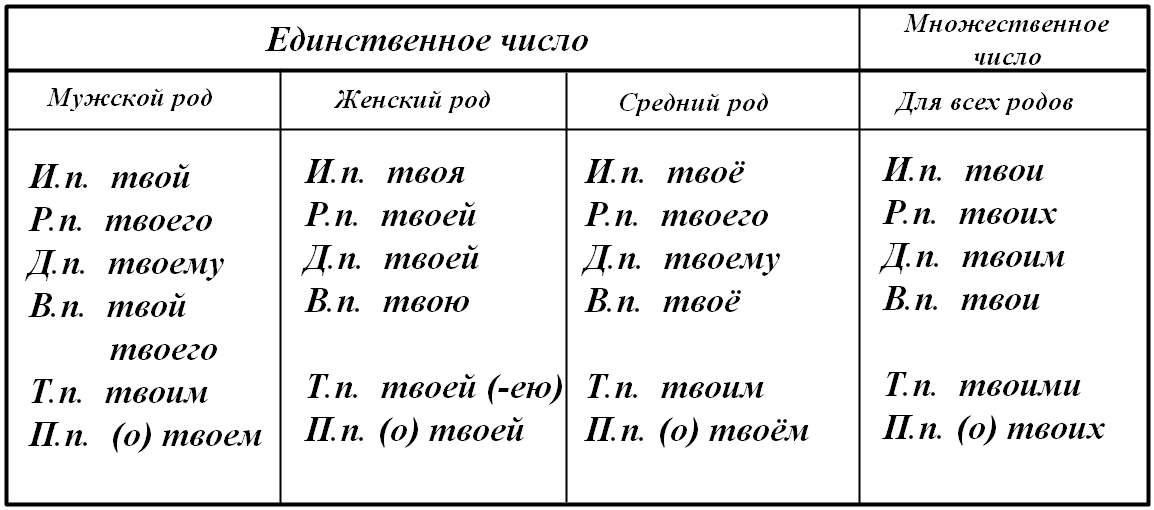 Урок по русскому языку на тему Притяжательные местоимения (7 класс)