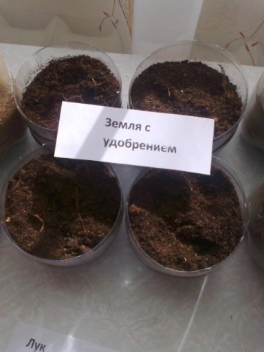 Исследовательская работа на тему: Почва. Влияние почвы на рост растений