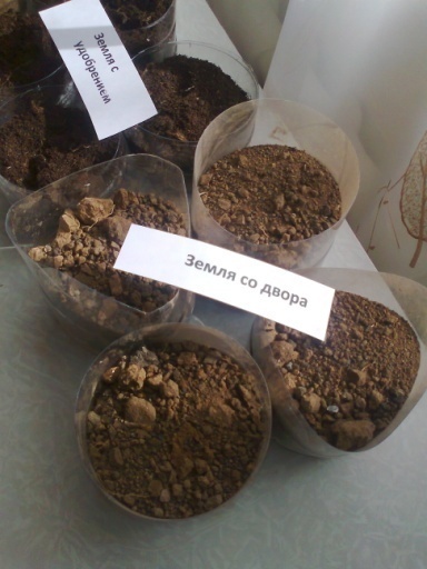 Исследовательская работа на тему: Почва. Влияние почвы на рост растений