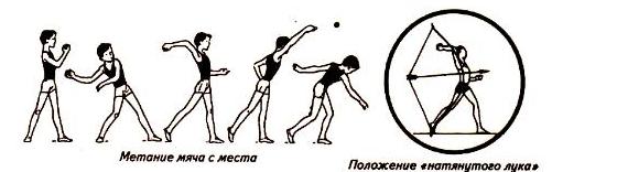 Урок физической культуры Совершенствование техники метания мяча на дальность