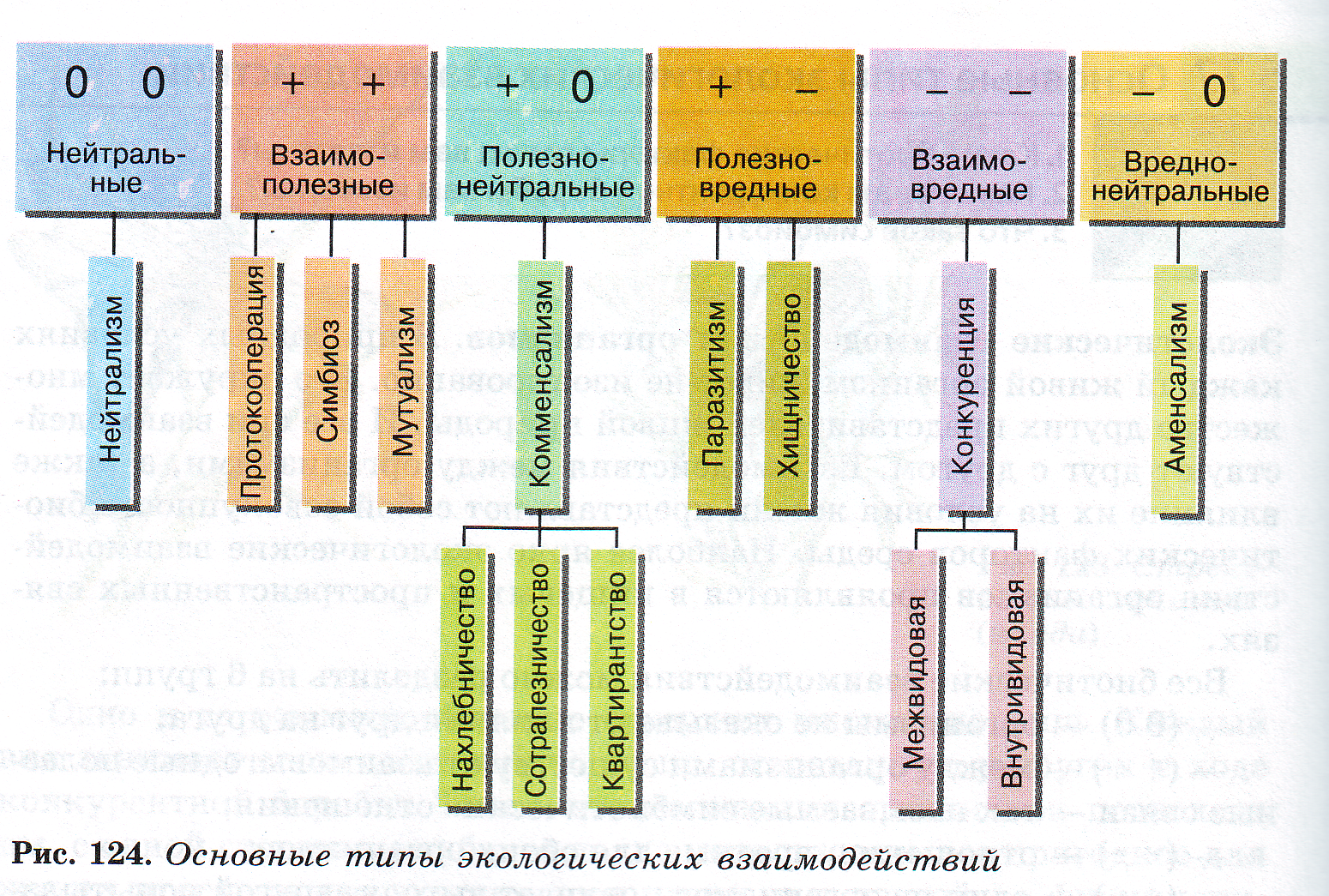 Экология отношения организмов