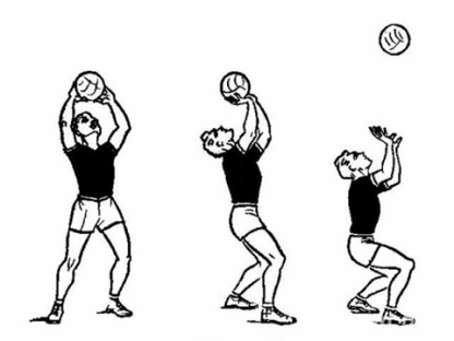 Конспект урока, технологическая карта урока Верхняя передача мяча, нижняя подача и прием мяча снизу в волейболе. 6 класс.