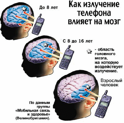 Проект по биологии на тему Влияние сотового телефона на организм человека