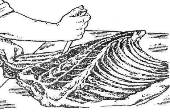 Механическая обработка передней четвертины говяжьей туши.