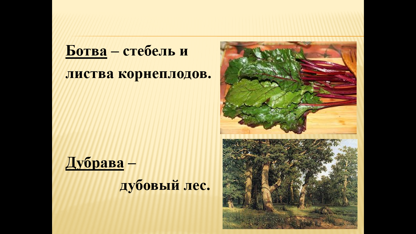 Урок литературного чтения по теме Мужик и медведь. Сказки бытовые, о животных, волшебные (2 класс)