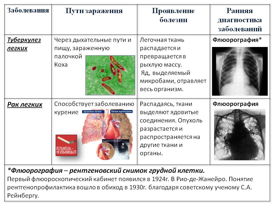 Конспект урока по биологии на тему Дыхание и здоровье человека (8 класс)