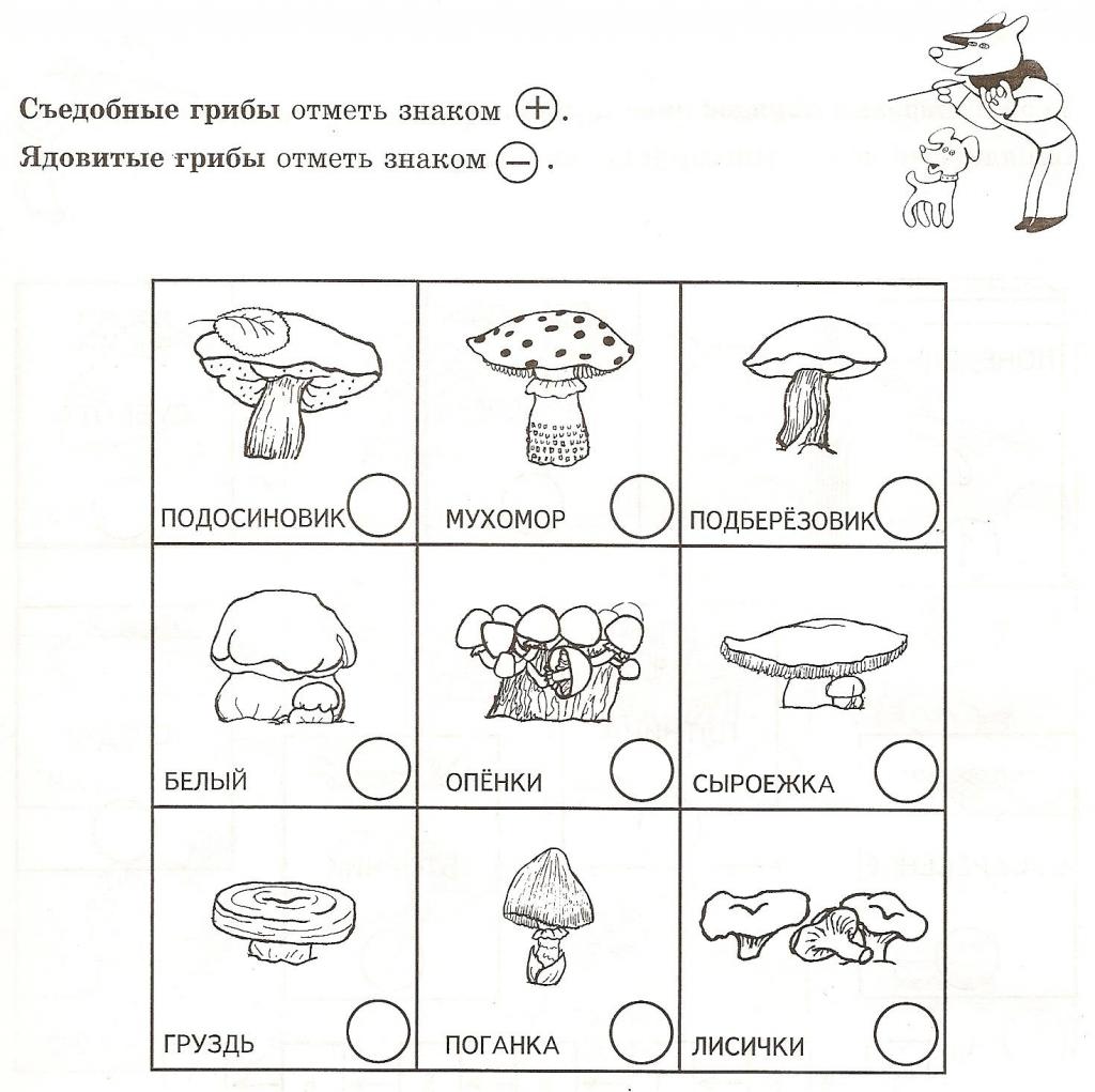 Задания на тему грибы для дошкольников
