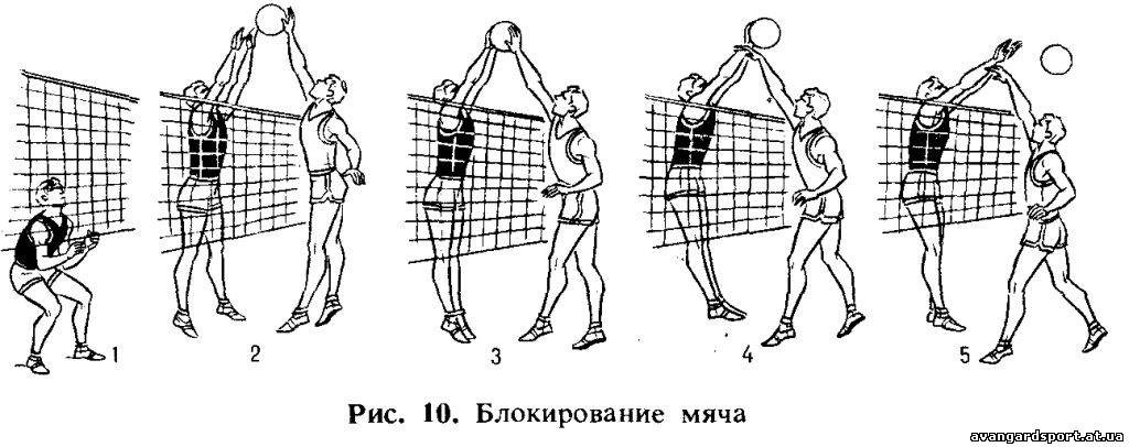 Методическая разработка Волейбол. Техника блокирования