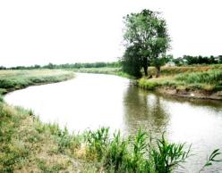 Экологический проект Влияние антропогенного фактора на экосистему озера Волчьи ворота