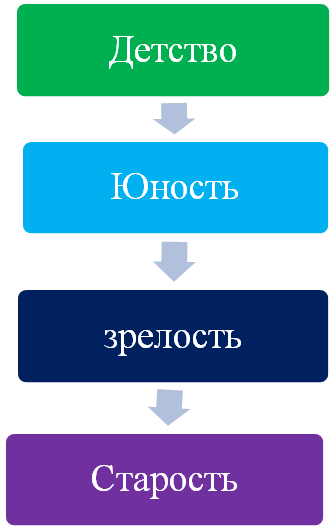 Детство молодость старость