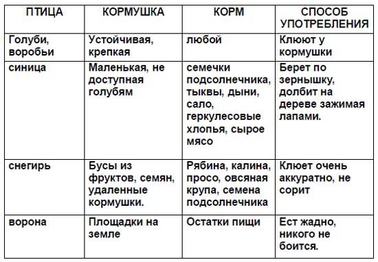 Социальный проект «Покормите птиц зимой»