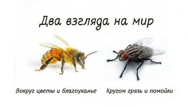 Конспект урока С.В.Михалков Муха и Пчела