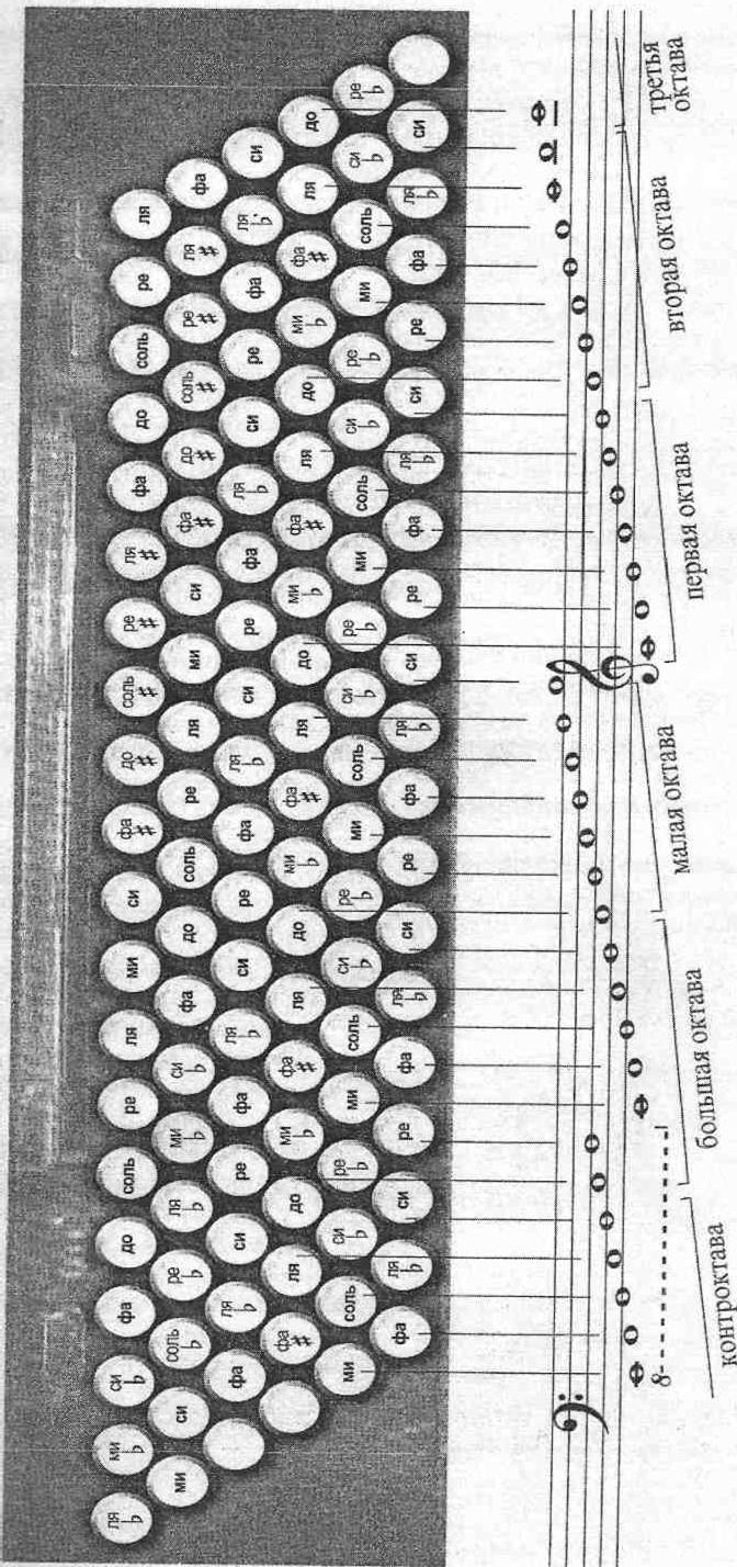 Басовая клавиатура аккордеона схема