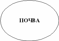 Конспект урока географии в 8 классе на тему:Образование почв и их разнообразие.