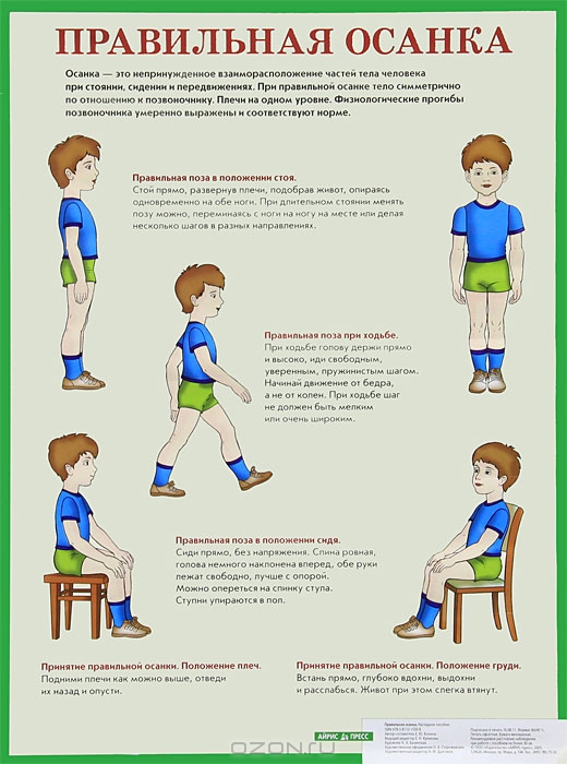 Статья на тему Больше внимания осанке!