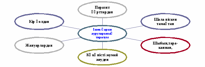 Тамақтану гигиенасы. Асқазан-ішек аураларның алдын алу