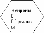 Тамақтану гигиенасы. Асқазан-ішек аураларның алдын алу