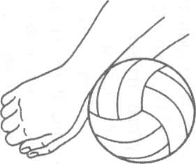РАБОЧАЯ ПРОГРАММА Внеурочной деятельности по физической культуре «Волейбол» для учащихся 5- класса