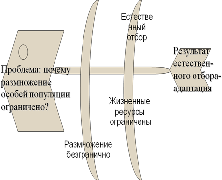 Разработка урока Приспособленность организмов – результат действия факторов эволюции (9 класс)