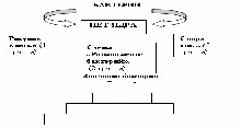 Технологическая карта, 6 класс Значение бактерий в природе и жизни человека