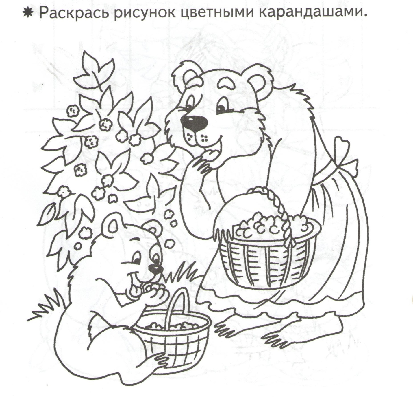 Медведь ягоду раскраска для детей