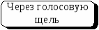 Конспект урока по биологии Органы дыхания