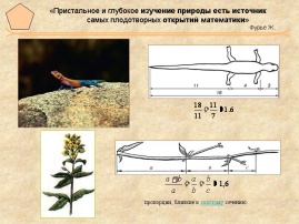 Краткосросрочный план по математике в 6 классе